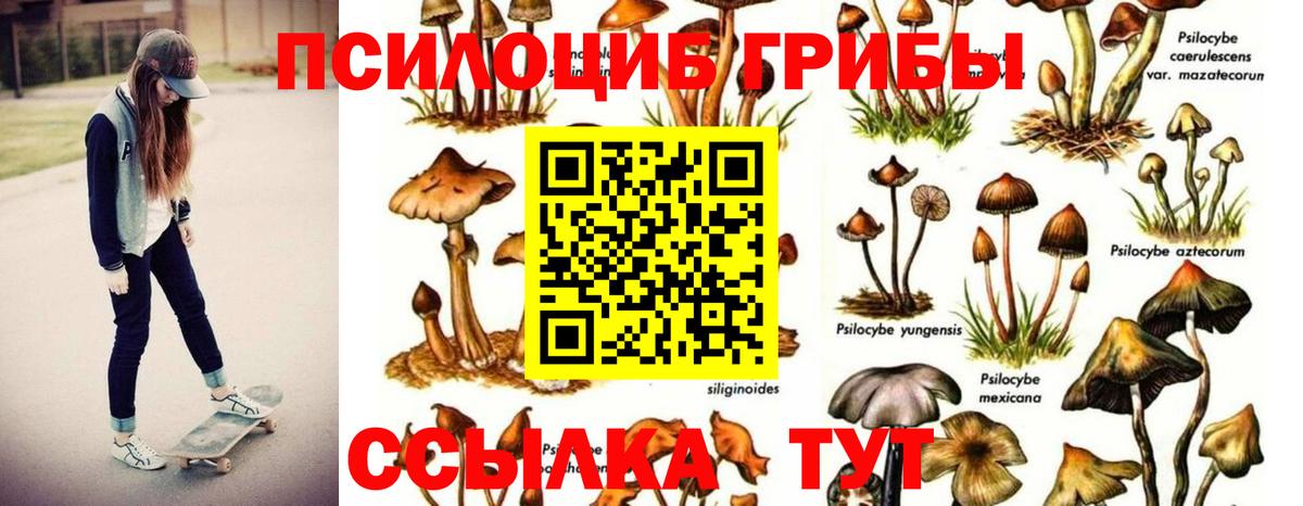 Галлюциногенные грибы Magic Shrooms Кушва
